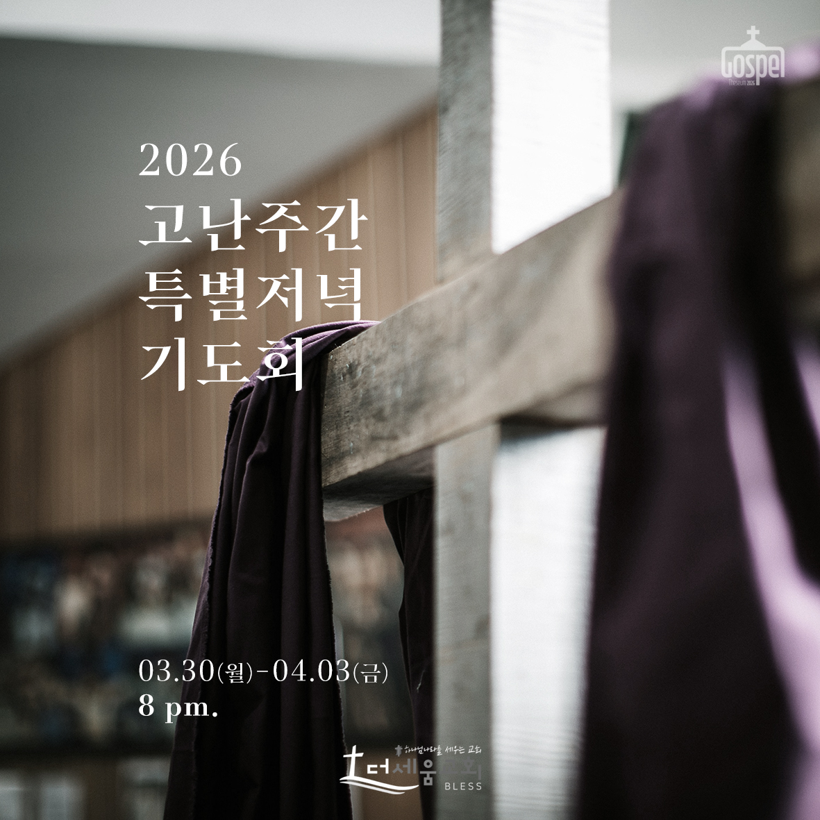 3503f7410c2a7.jpg