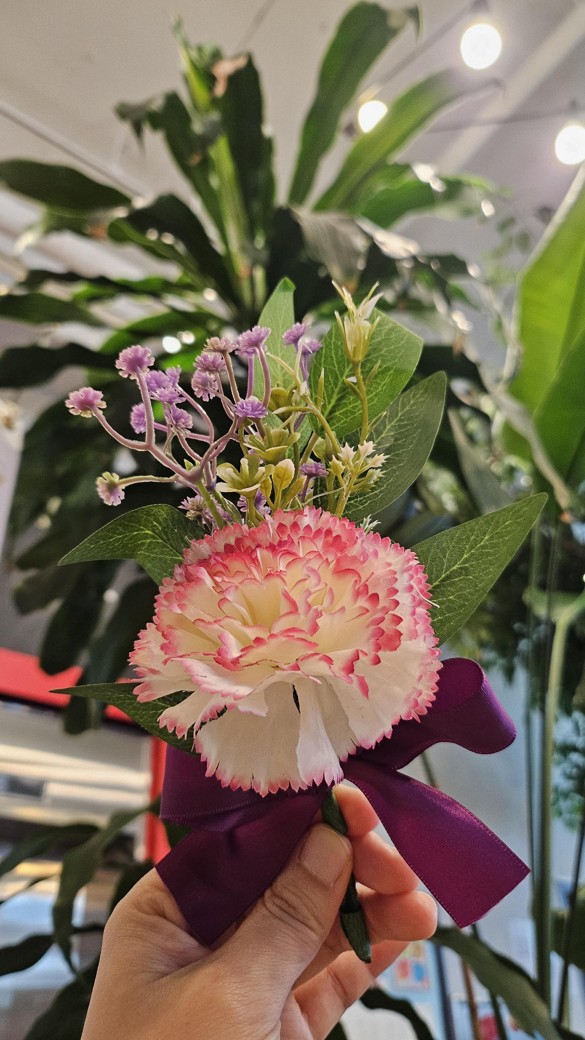 3f361ee80f596.jpg
