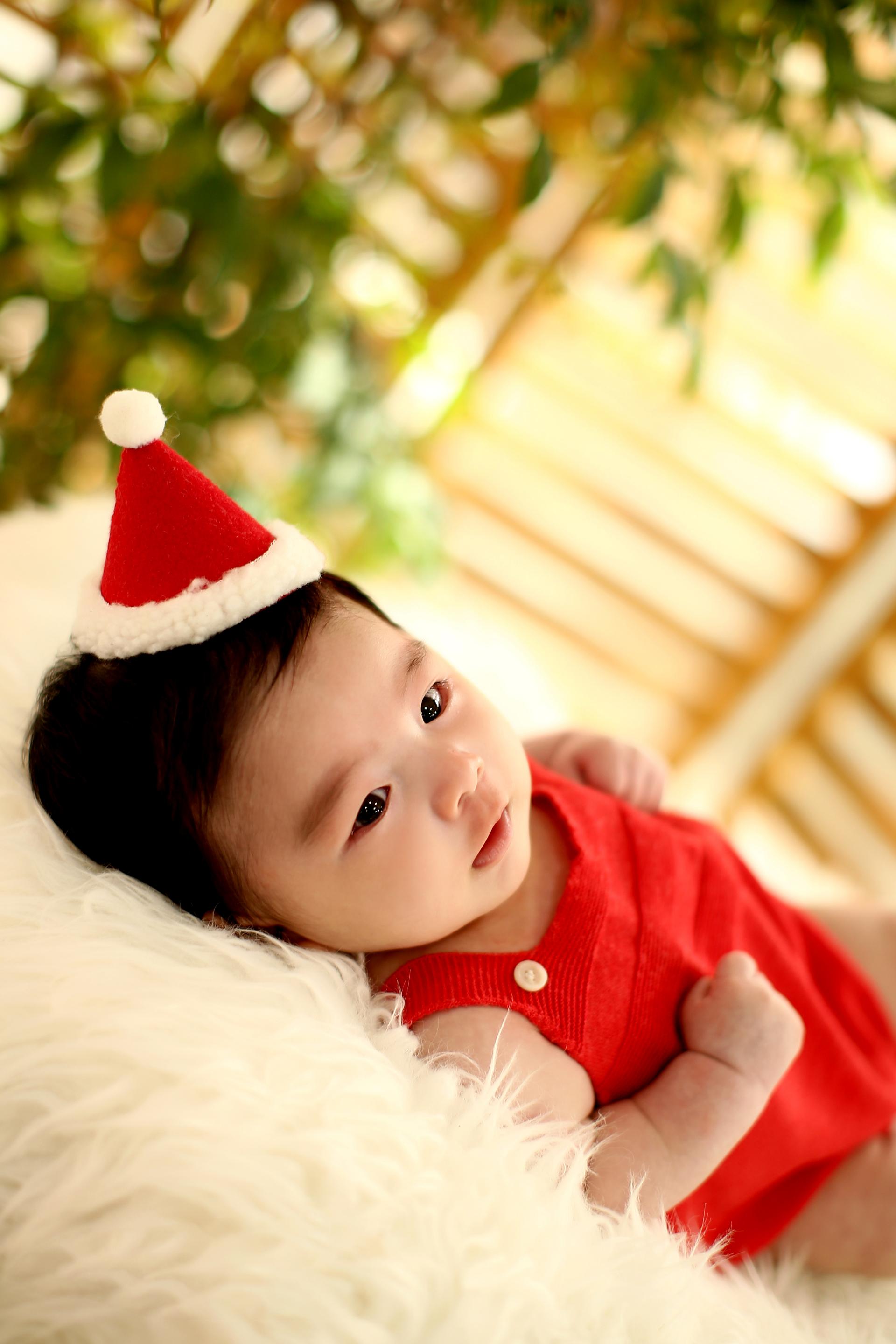 8cd112c42b0fc.jpg