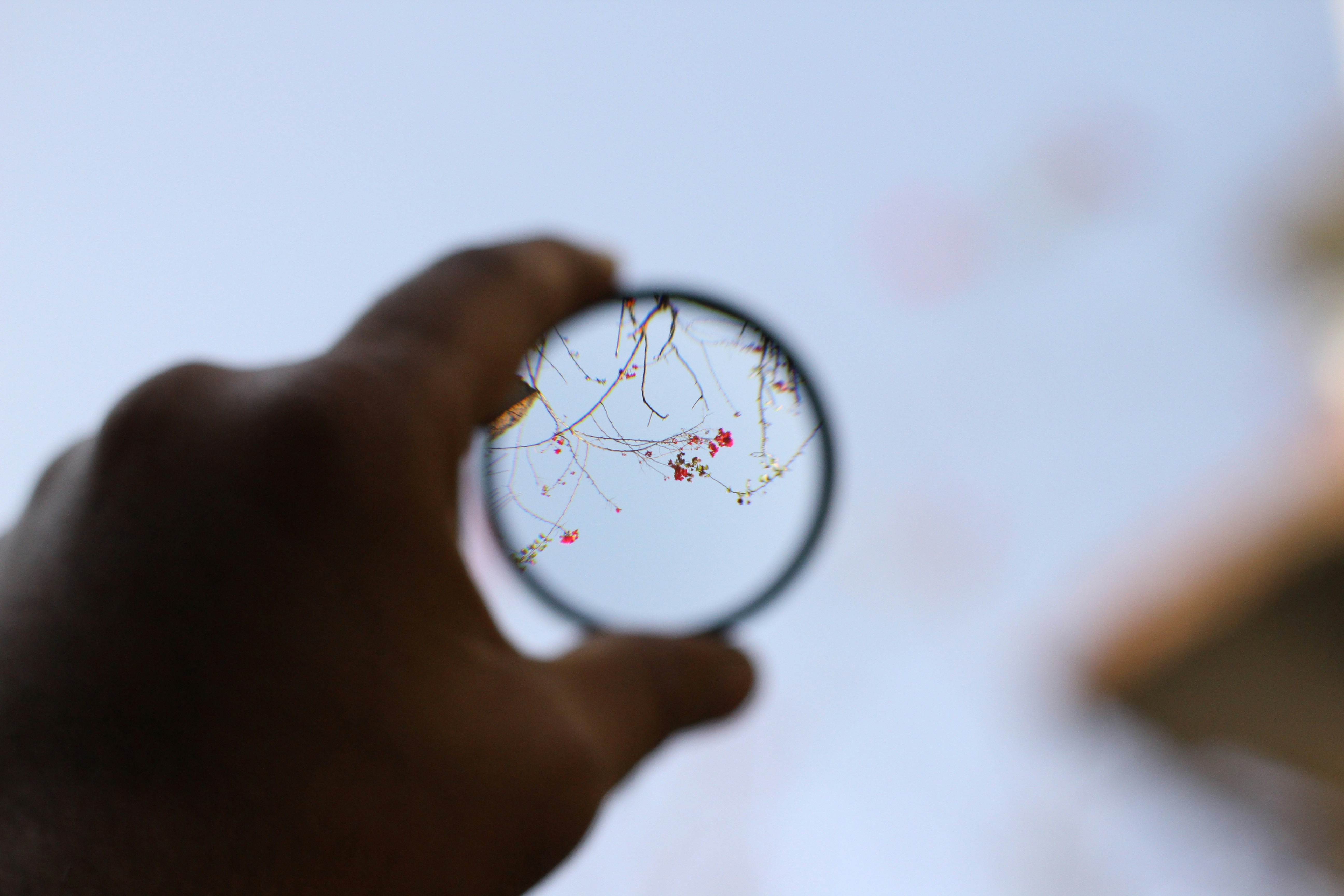 0501ccc66ebe6.jpg