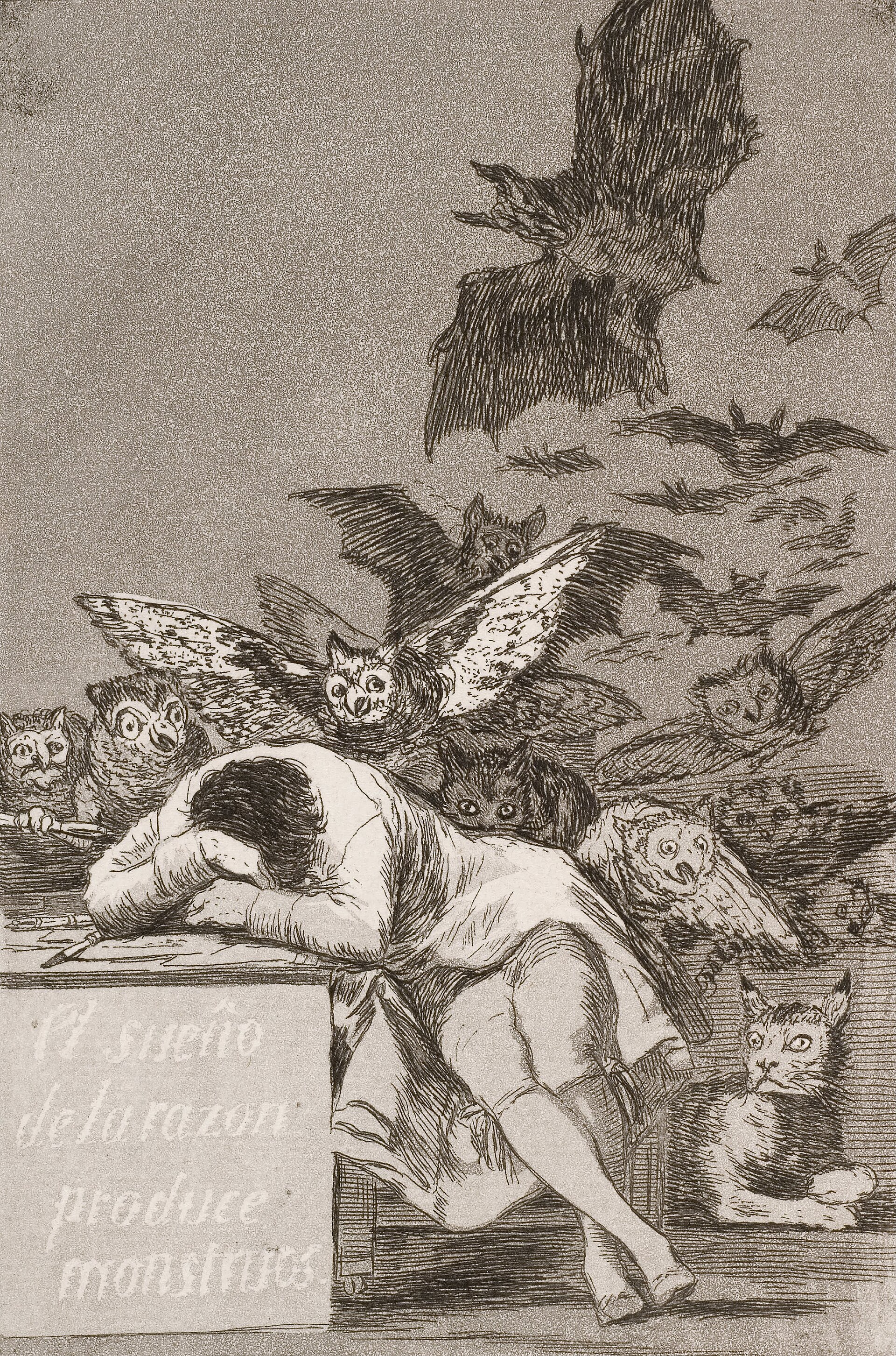 25f9976b08e85.jpg