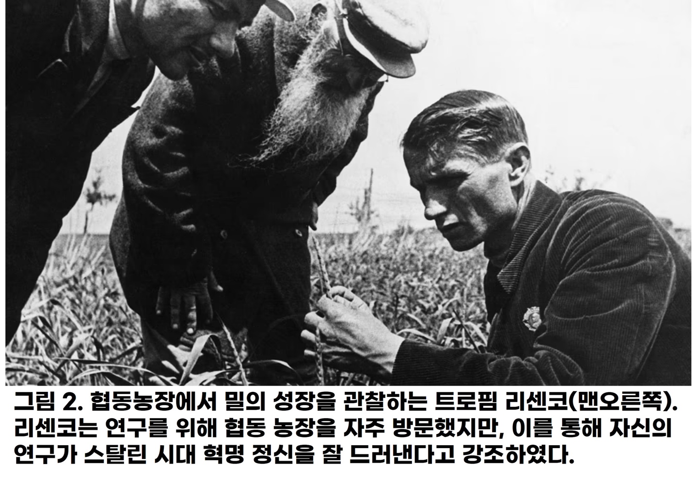 793f87d4efbd5.jpg