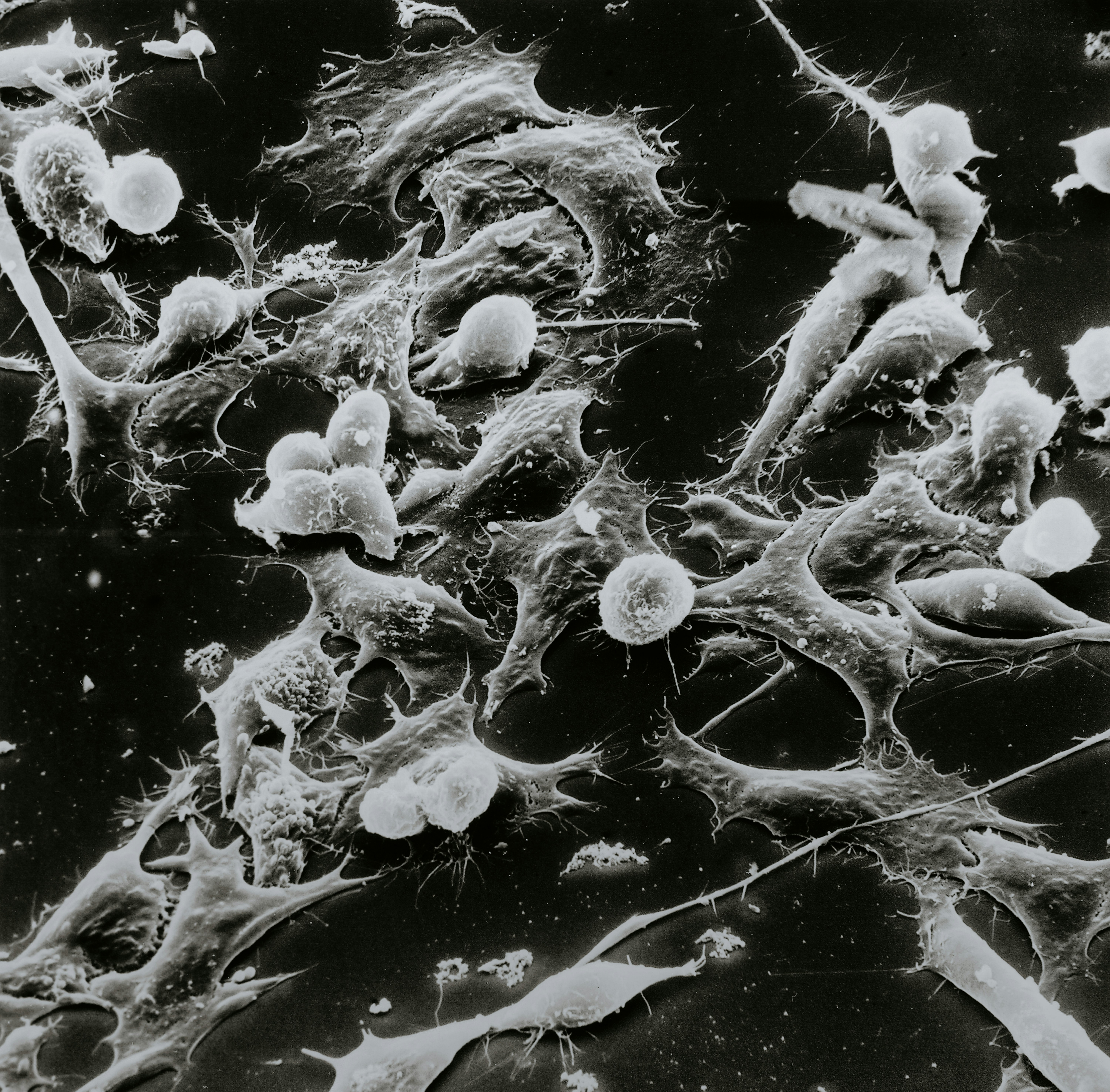b802649d5b17d.jpg