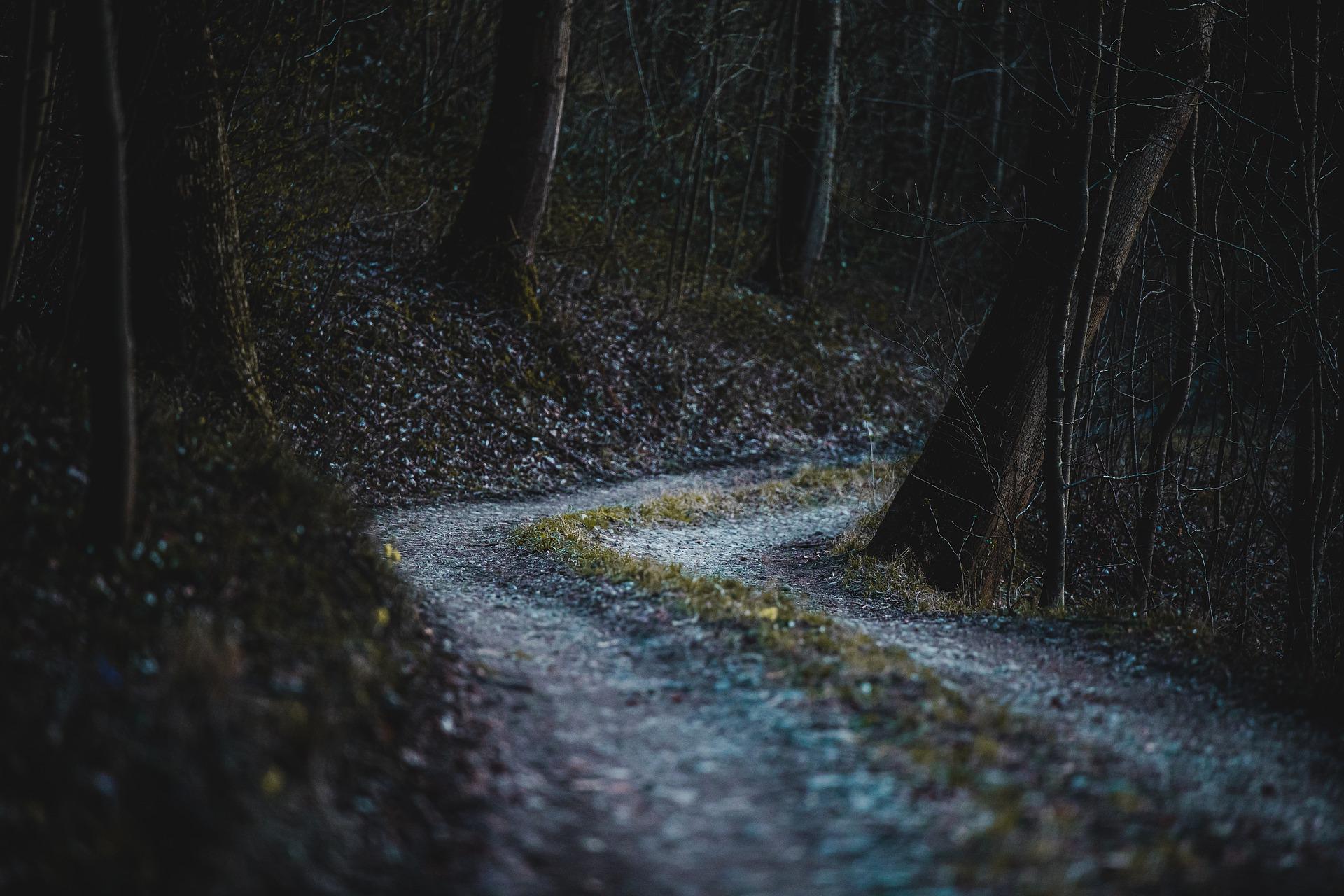 d20ef745b50a7.jpg