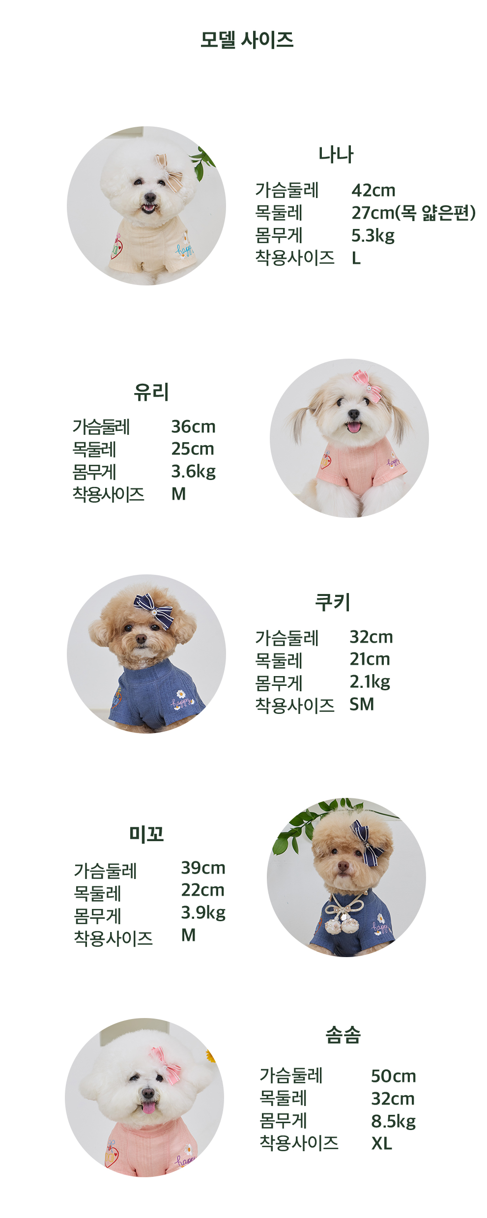 해피하트티