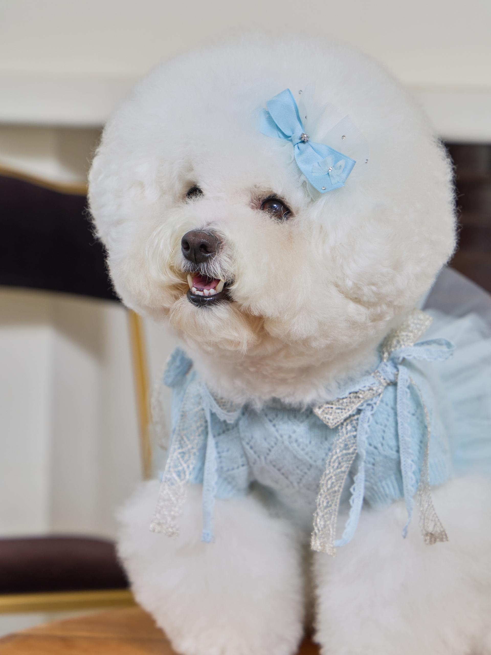 파티시엘 튜튜 드레스