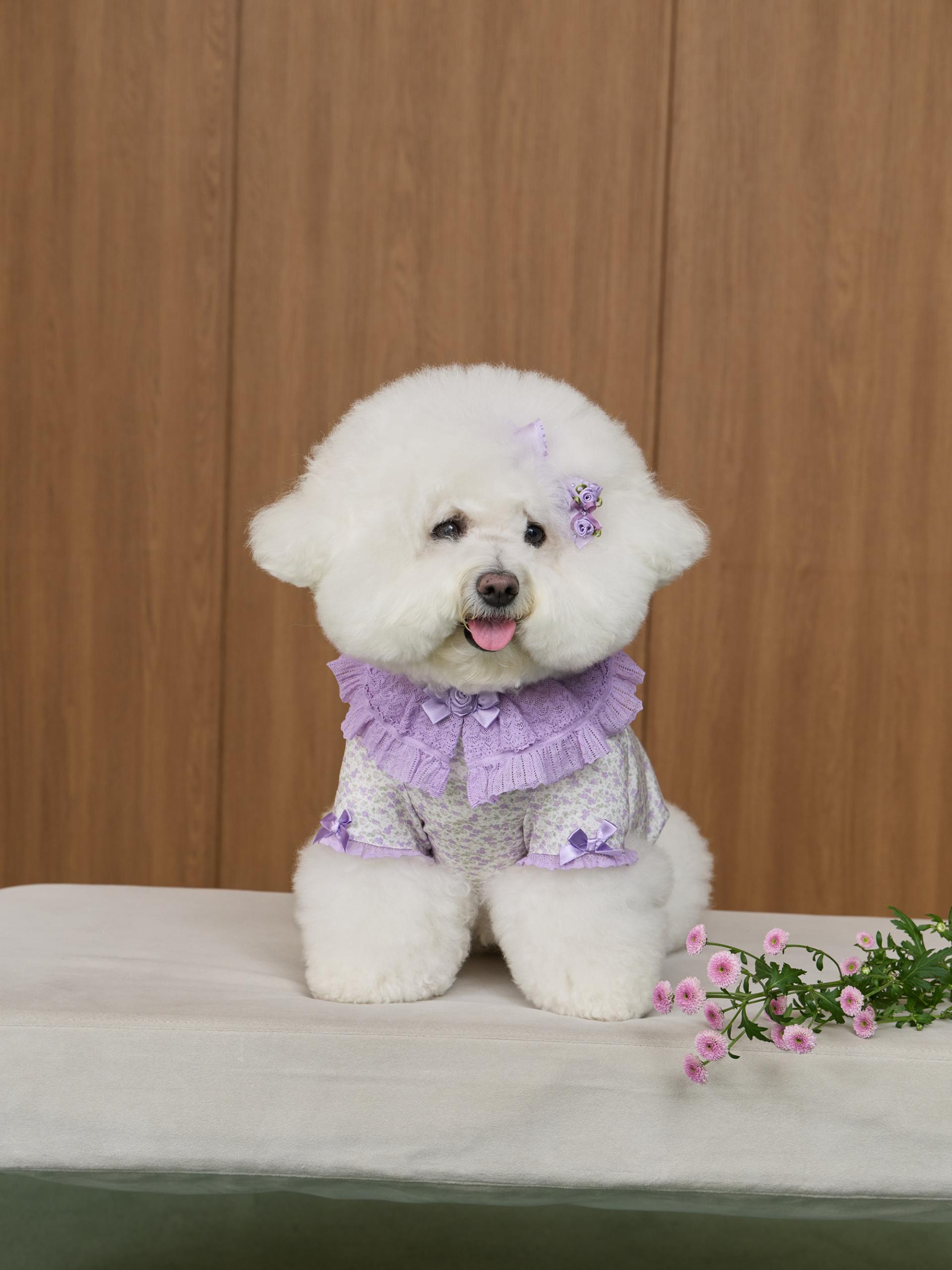 로즈 가든 티