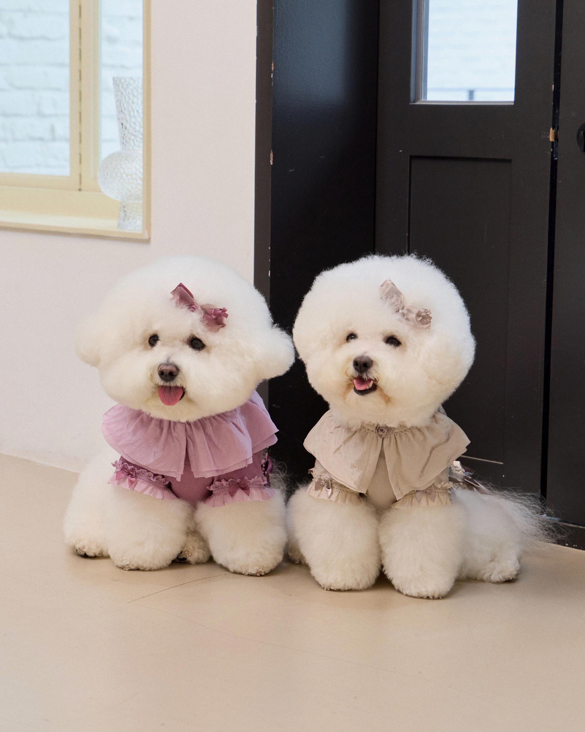 플리에벨BL