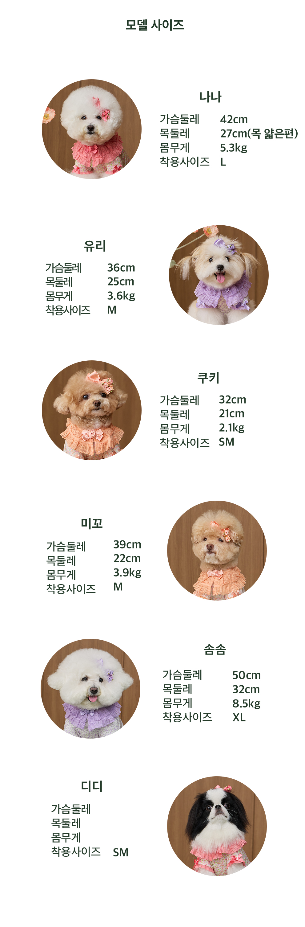 로즈 가든 티