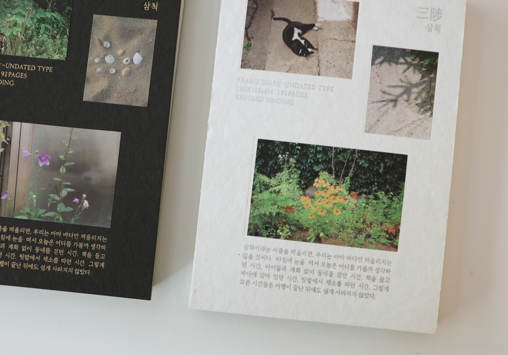 [프리오더] Frame Diary, Samcheok (2type)