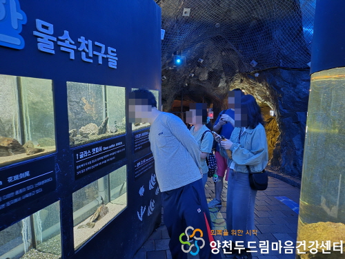 c8848b6e46558.jpg