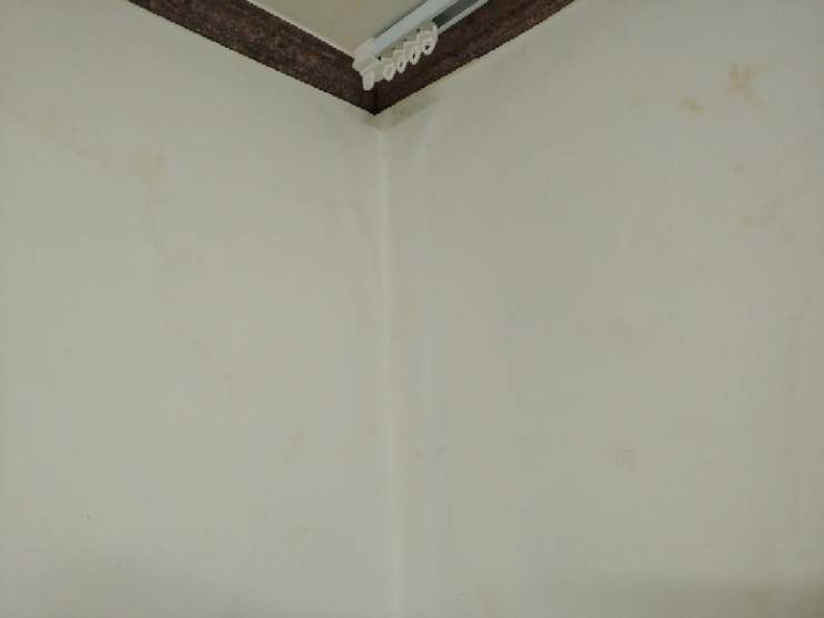 6cf6ea9daa8a2.jpg