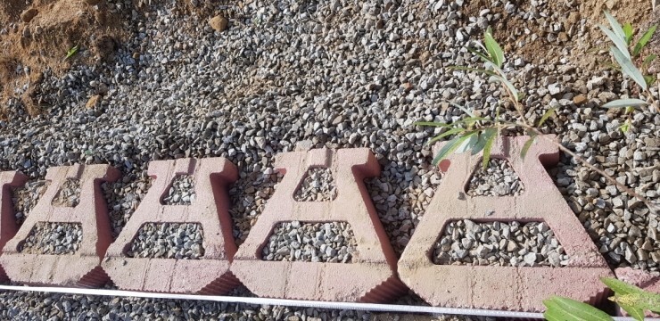 3aefde608558e.jpg