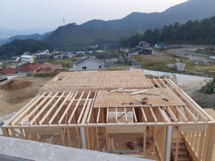 78b27ef1317ed.jpg