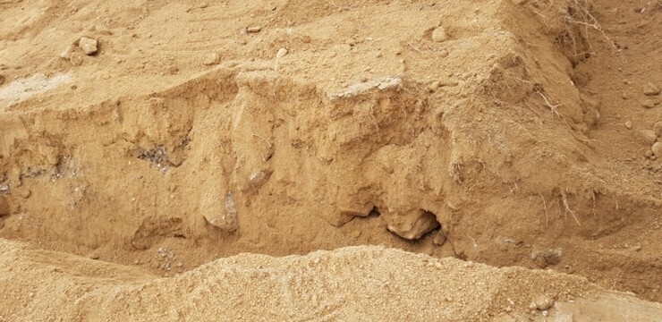 be8c2775f16ec.jpg