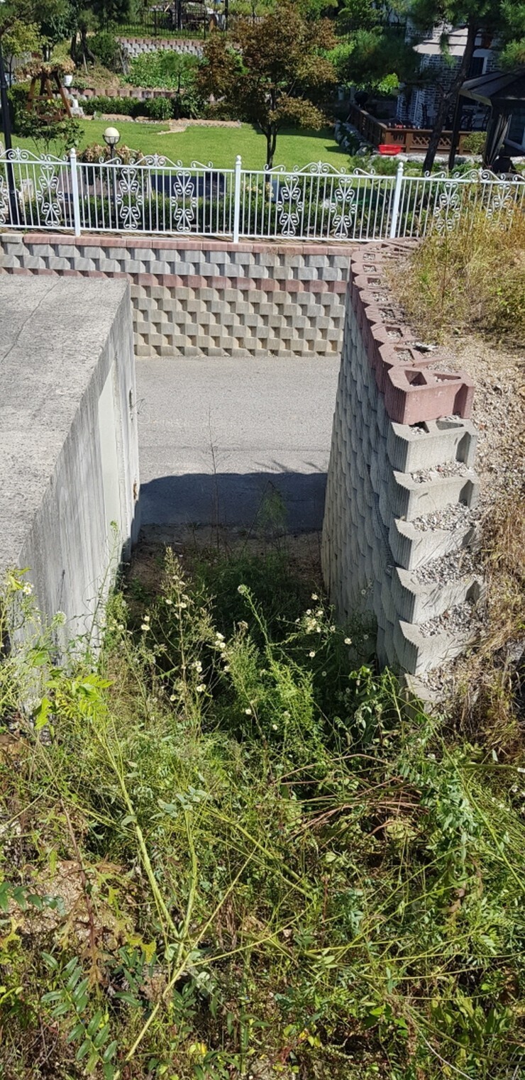 ddadebe6869f8.jpg