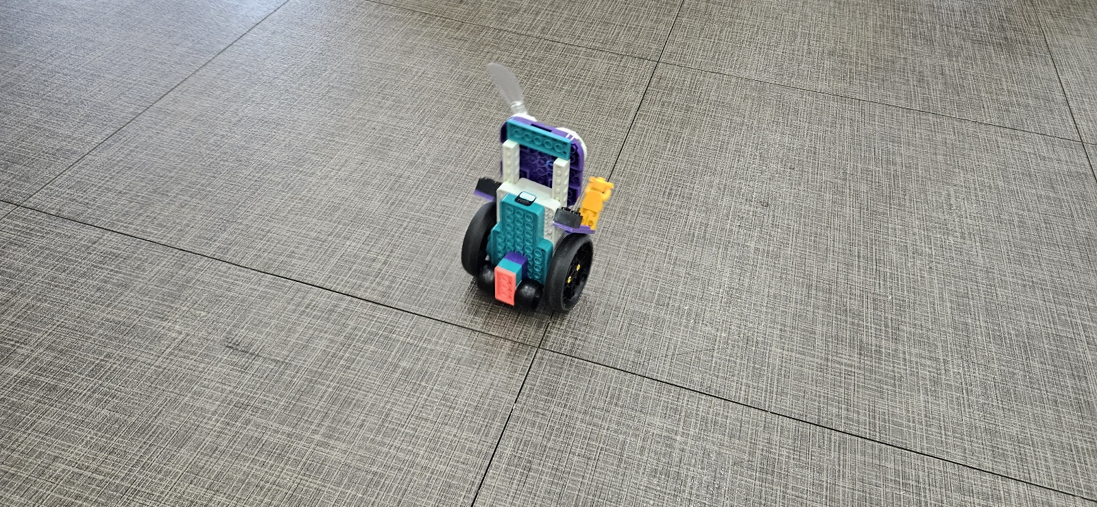 0f8956967055a.jpg