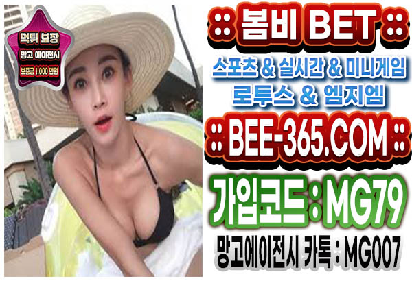 메이저 놀이터