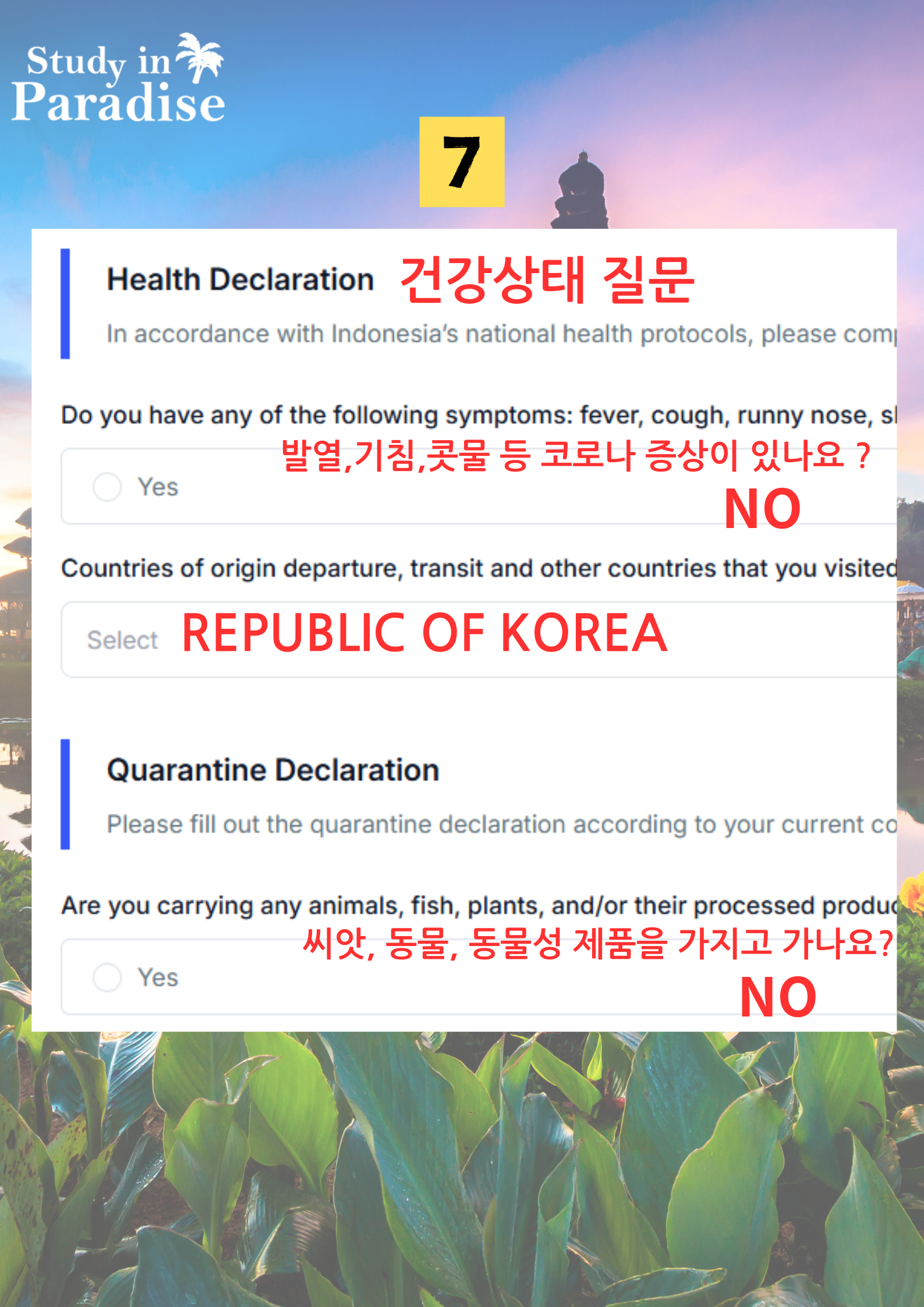 323a3aaa2af00.png