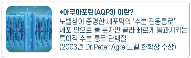 다나겔｜아토피·피부질환 피부장벽 개선 보조치료 연고
