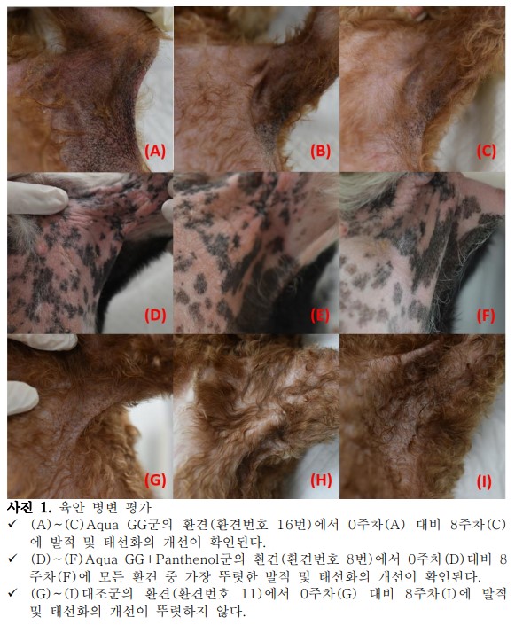 다나겔｜아토피·피부질환 피부장벽 개선 보조치료 연고