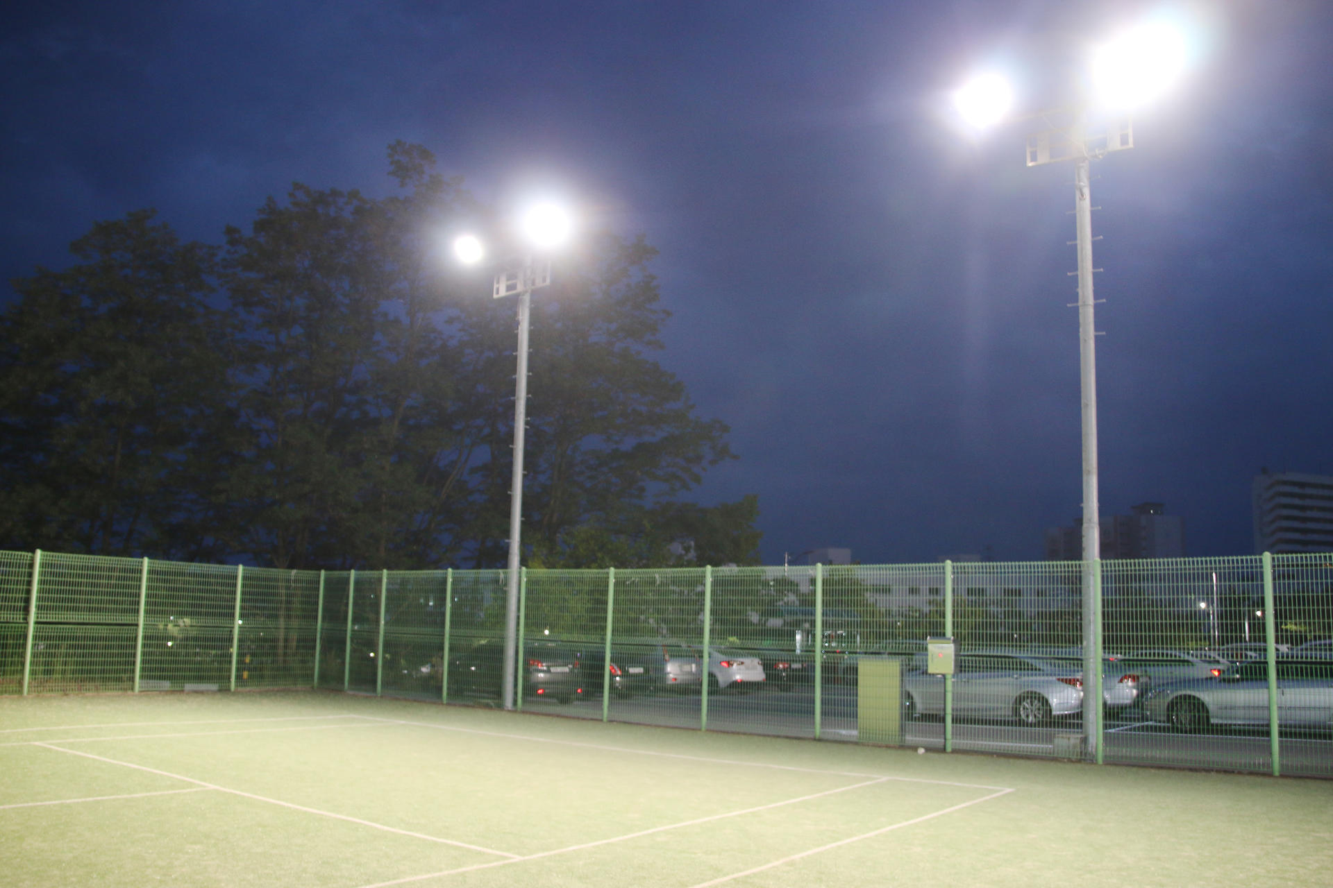 d4461fd281871.jpg