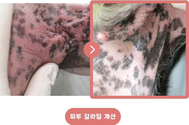 [정품]아쿠아바이탈 다나겔｜수분·장벽 보습케어