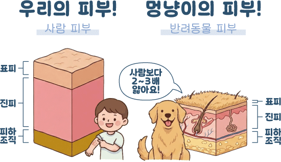 [정품]아쿠아바이탈 다나겔｜수분·장벽 보습케어