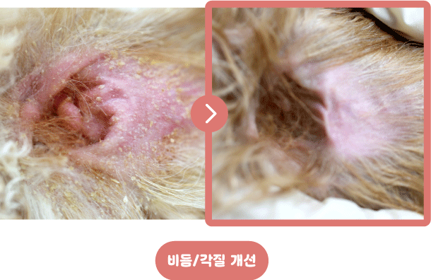[정품]아쿠아바이탈 다나겔｜수분·장벽 보습케어