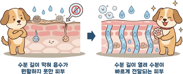 [정품]아쿠아바이탈 다나겔｜수분·장벽 보습케어