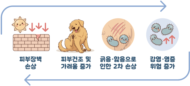 [정품]아쿠아바이탈 다나겔｜수분·장벽 보습케어
