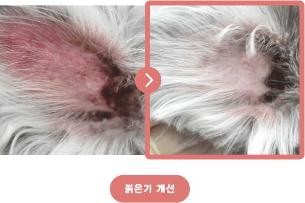 [정품]아쿠아바이탈 다나겔｜수분·장벽 보습케어