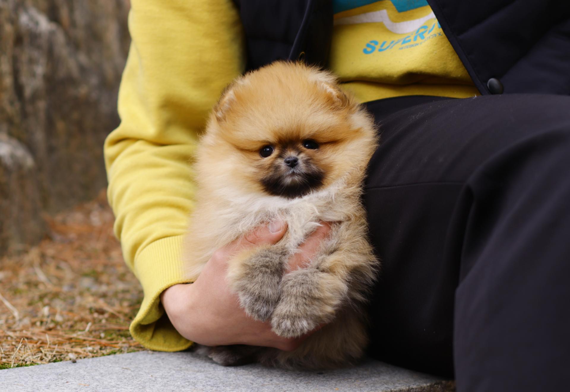 일산 파주 세이블포메 오렌지