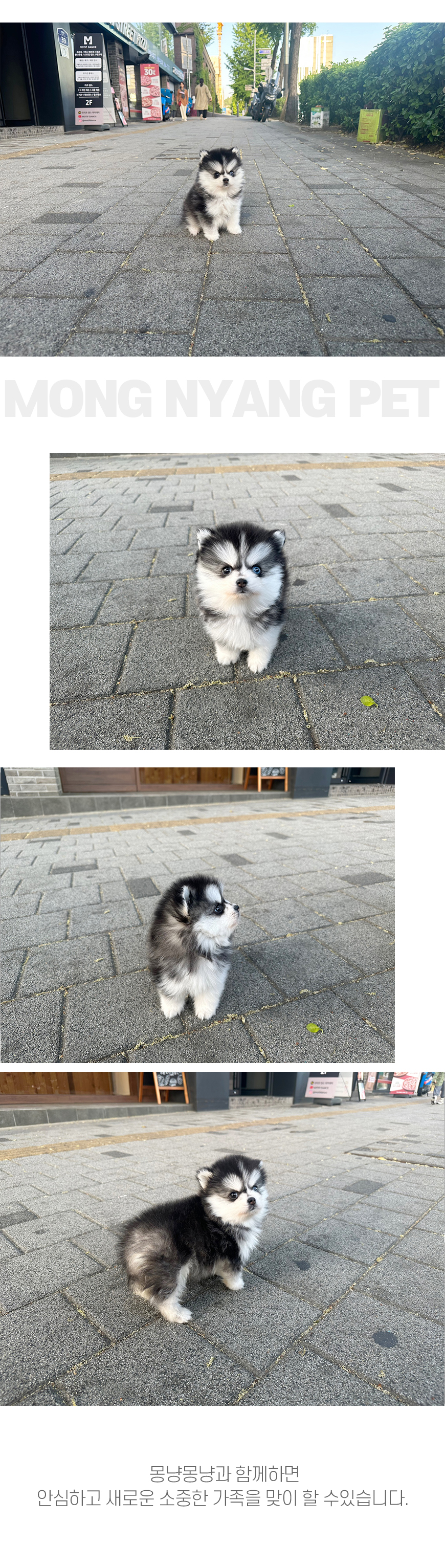 폼스키분양