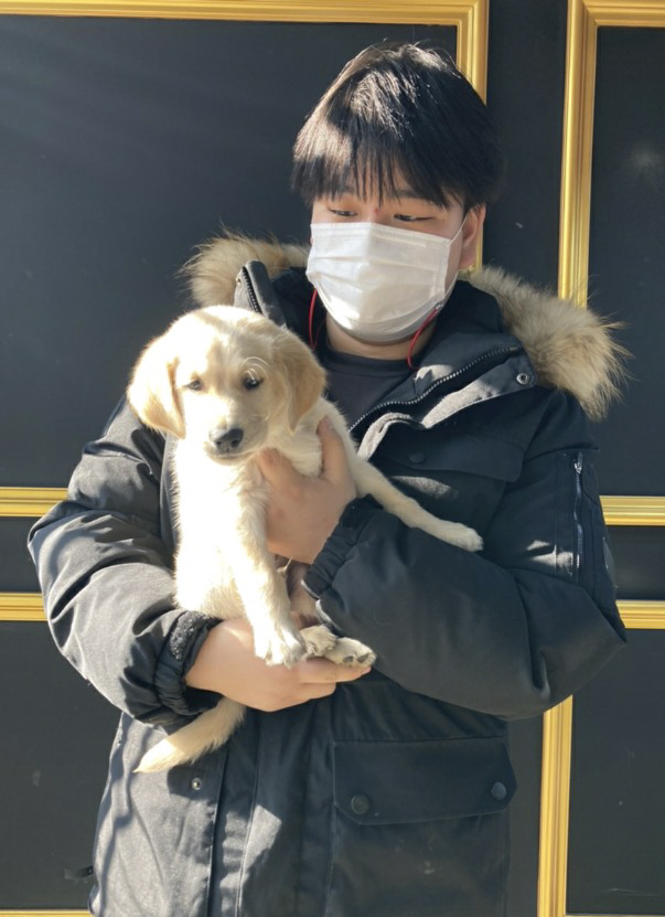 래브라도리트리버 분양후기 몽냥고양일산점 김해x님 : 몽냥몽냥 - 강아지분양 고양이분양 래브라도리트리버 분양후기 몽냥고양일산점 김해X님 : 몽냥몽냥 - 강아지분양 고양이분양