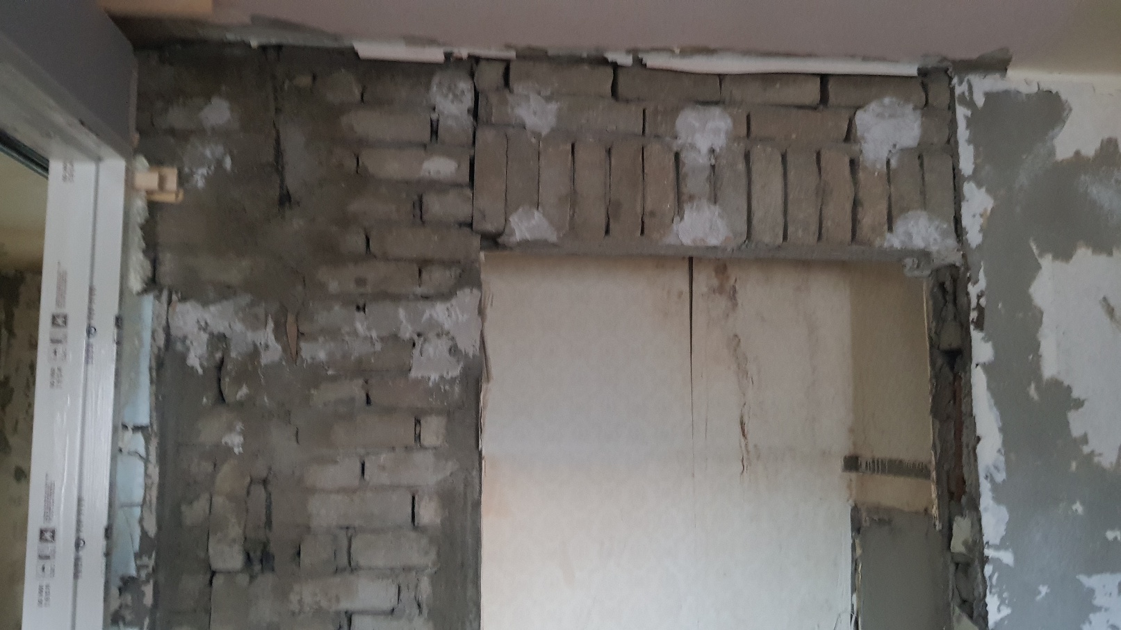 f4907203e99b0.jpg