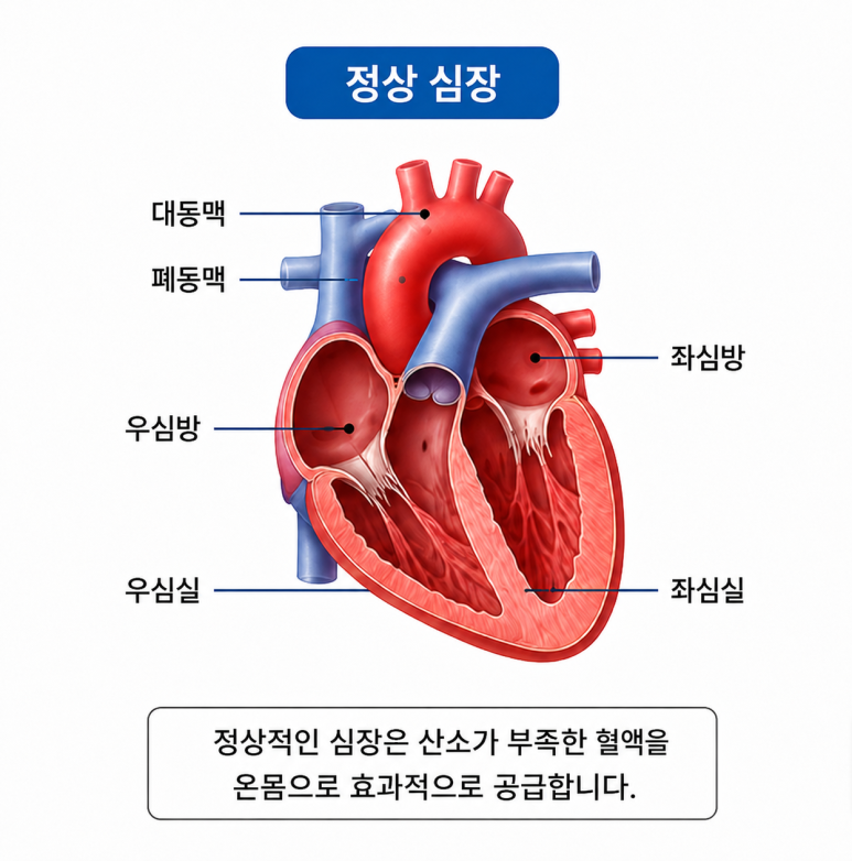 2554203114f8f.png