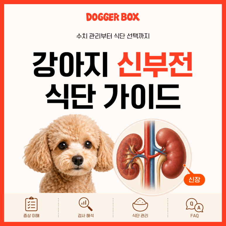 161d8073c6389.png