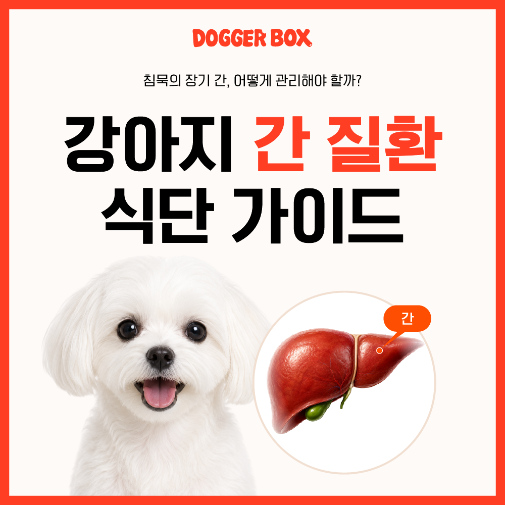 812914a9f8c48.png