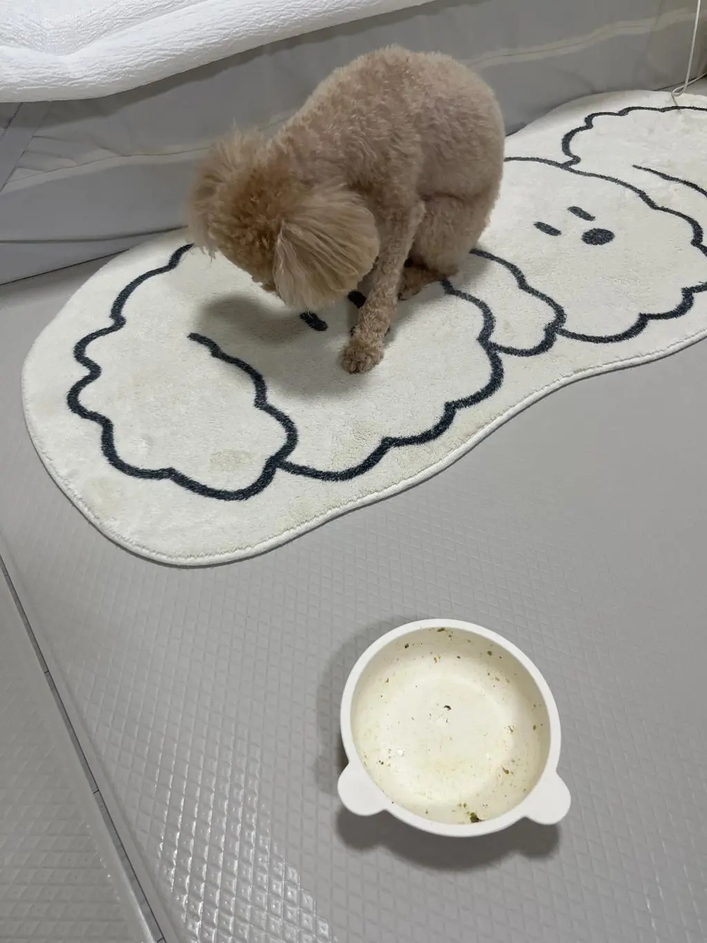 a414b386c32c2.jpg