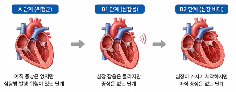 ab13fb8c2639d.png