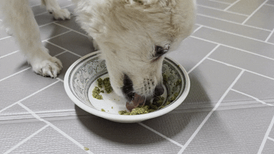 d51a0ff9daf24.gif