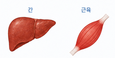f706a18222cb2.png