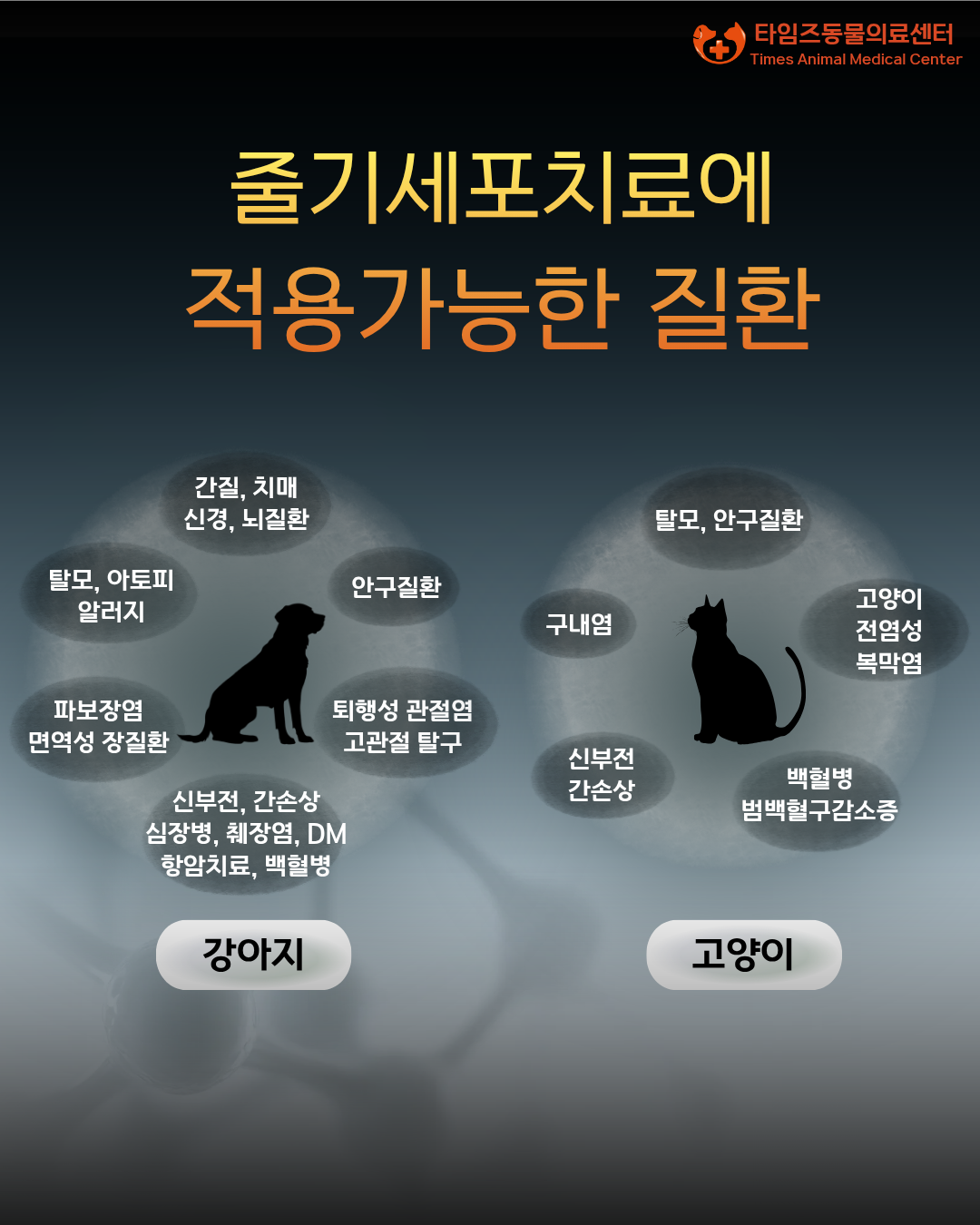5486185489dc9.png