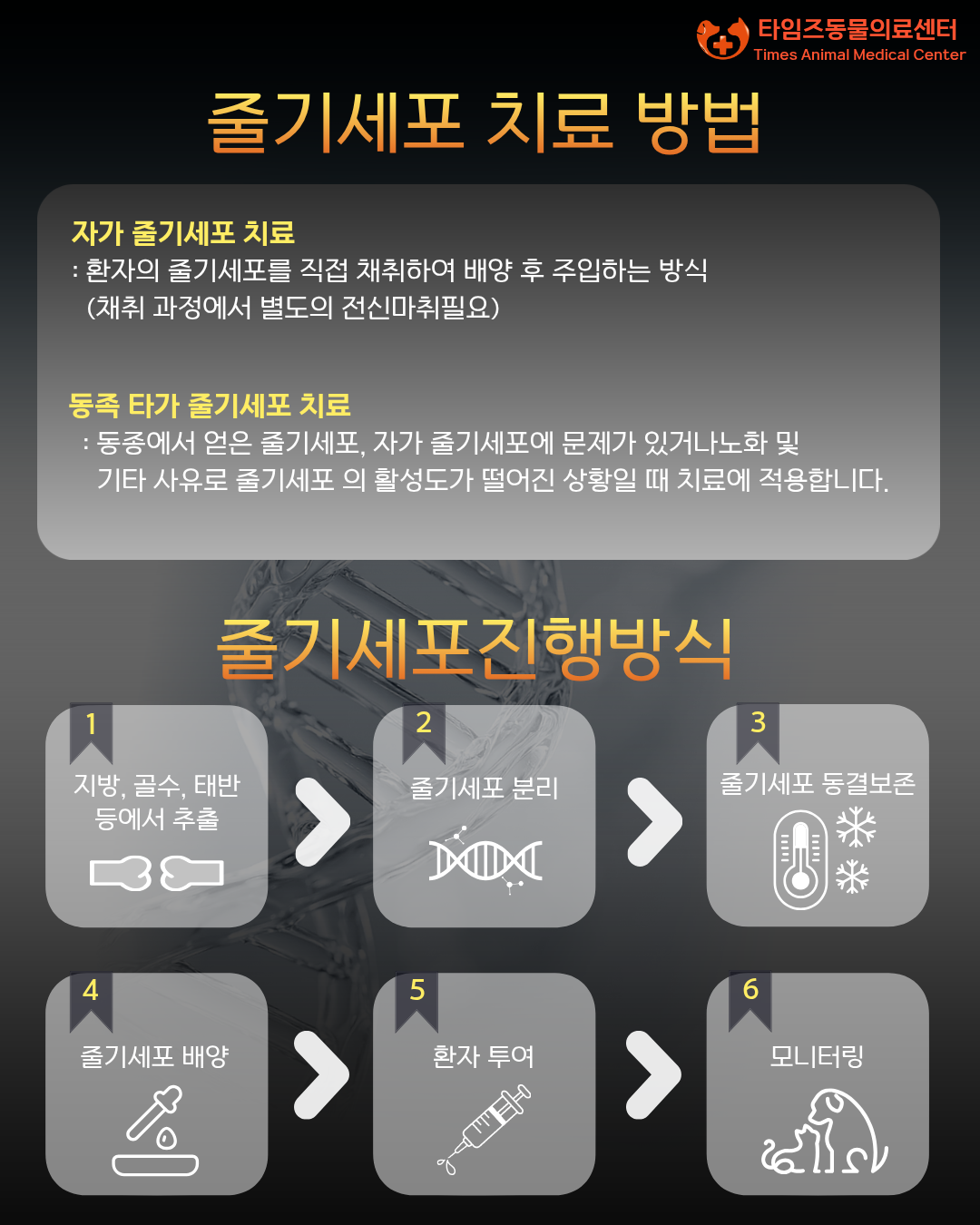 8338565d543dc.png