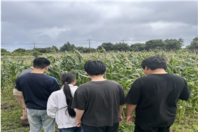 6b852018d39d3.png