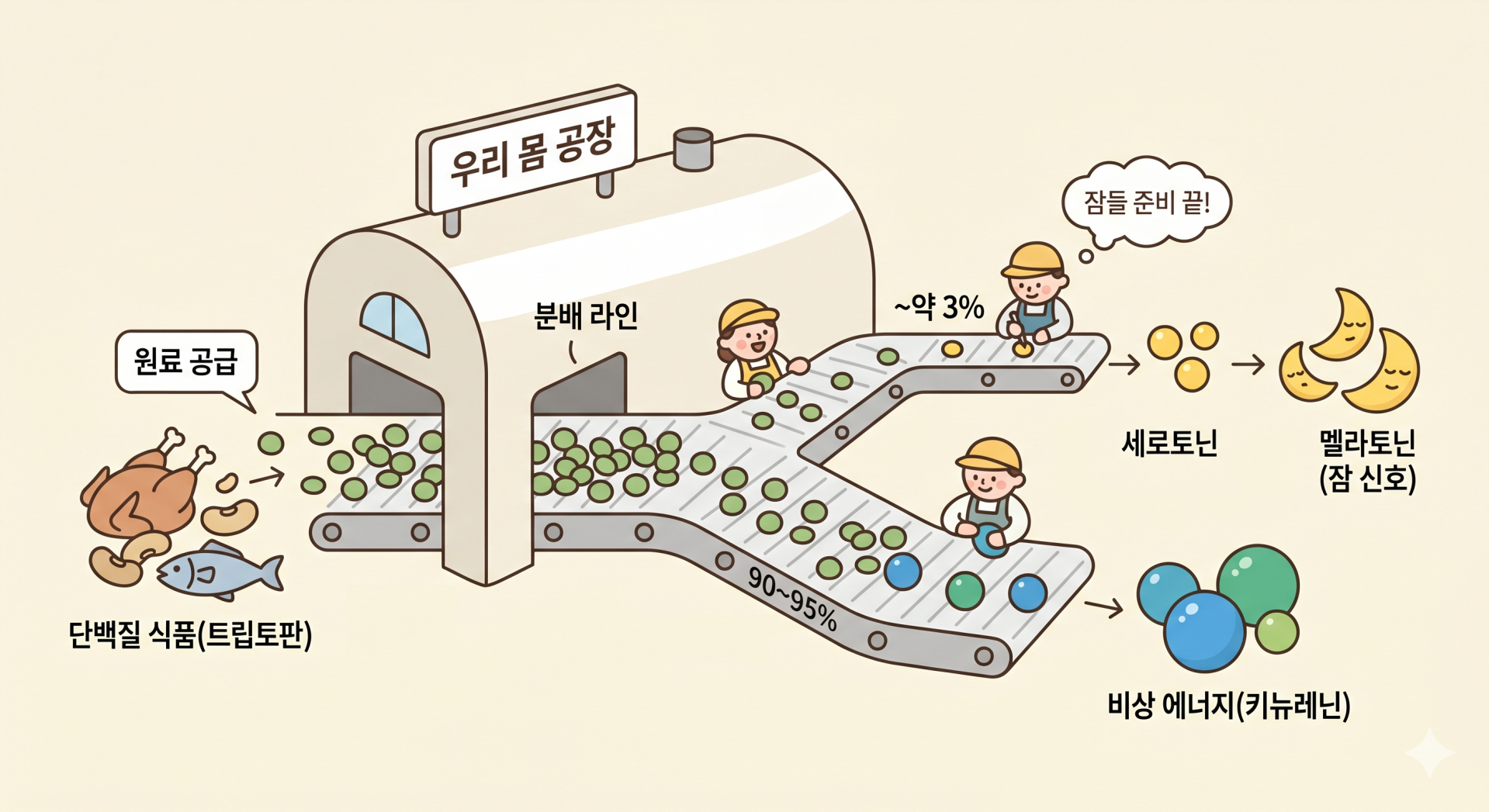 트립토판의 두 가지 경로 @nano banana.png