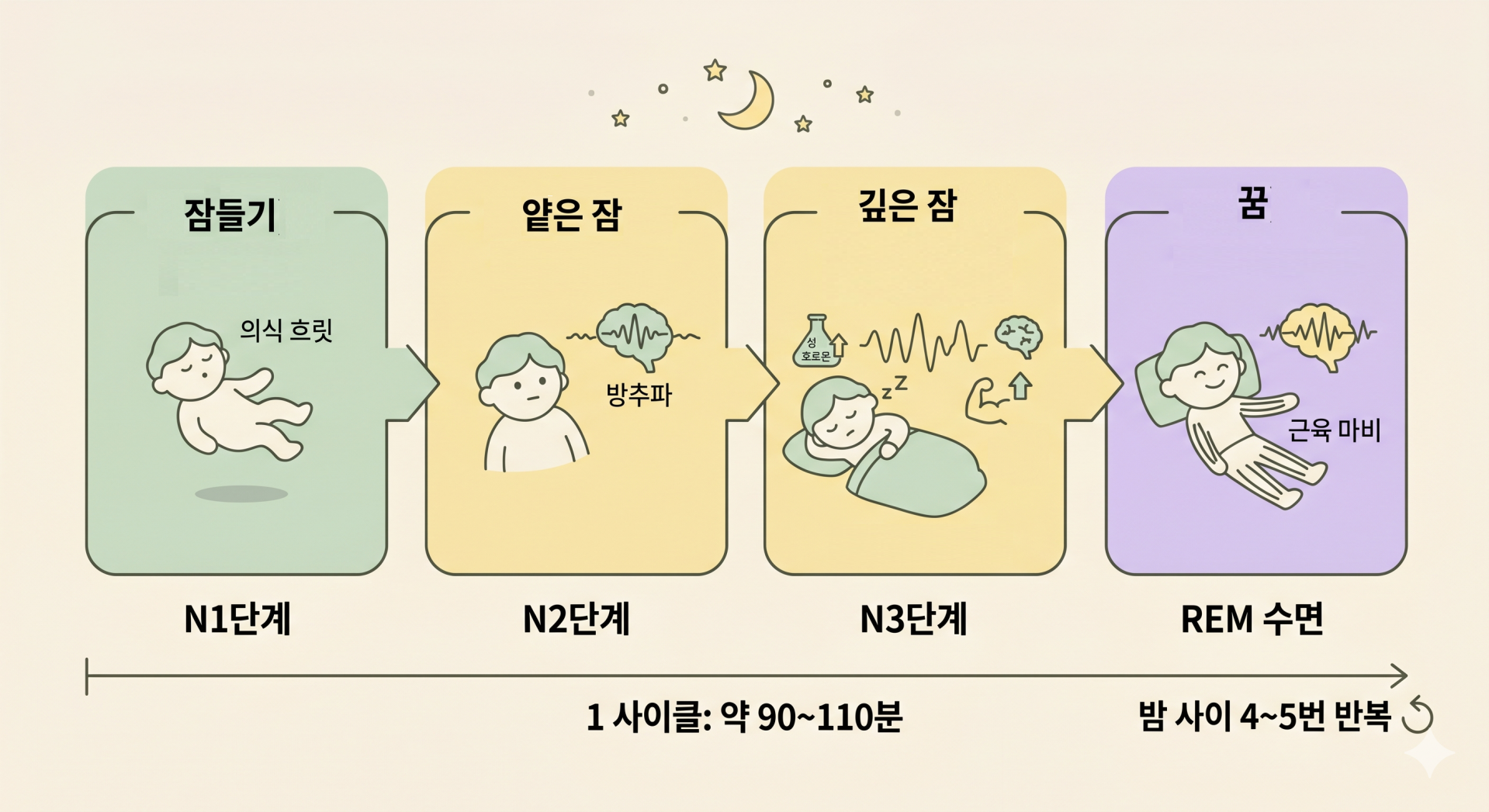 수면 사이클 @nano banana.png