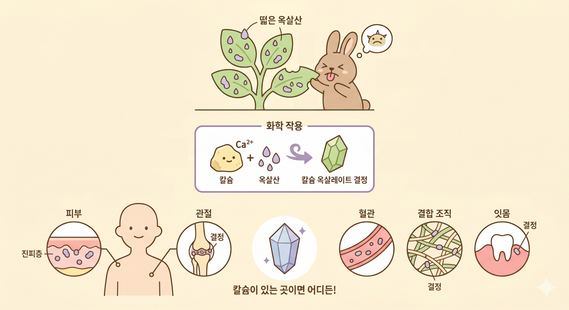 옥살산의 생존 전략 @nano banana.png