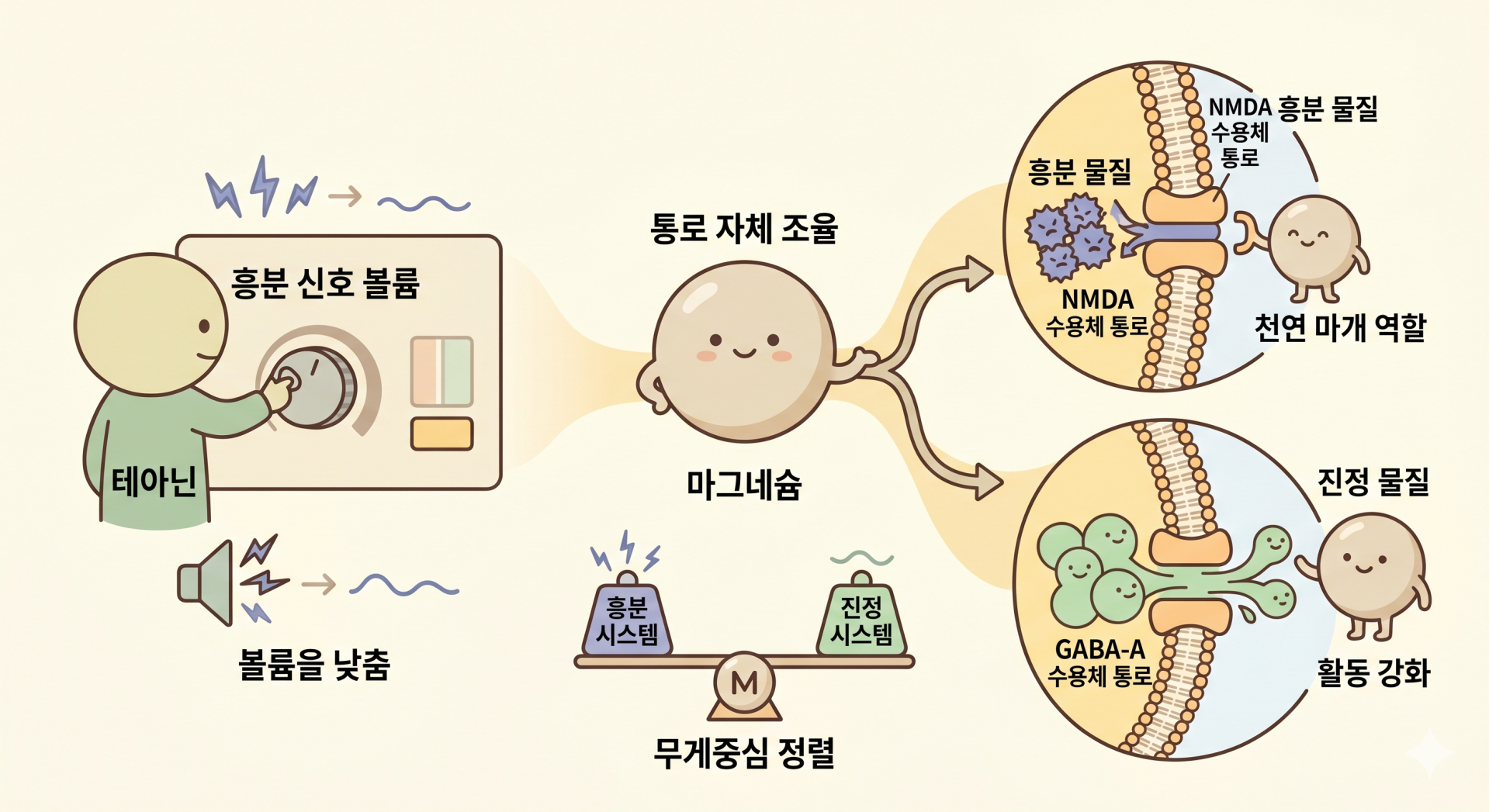 마그네슘이 수면 시스템에 미치는 영향 @nano banana.png
